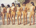 Xingu 11