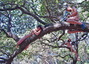 berkeley nude protest 2007 27