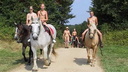paard 2