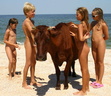 nudist-sandbeach-11