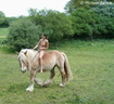 nude with horse 107