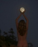 socal young naturist 0019